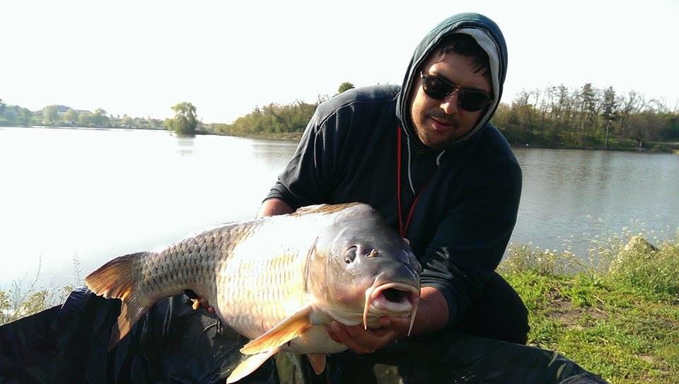 Hermes Peris 25 - 26 aprilie 2015 - 11165957991225714235652230843227n.jpg